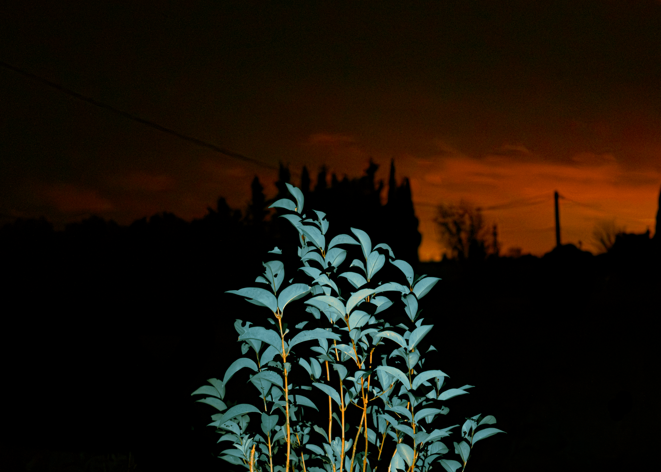 14012026-DSCF1628.png