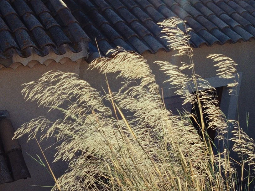 Observations_017.jpg
