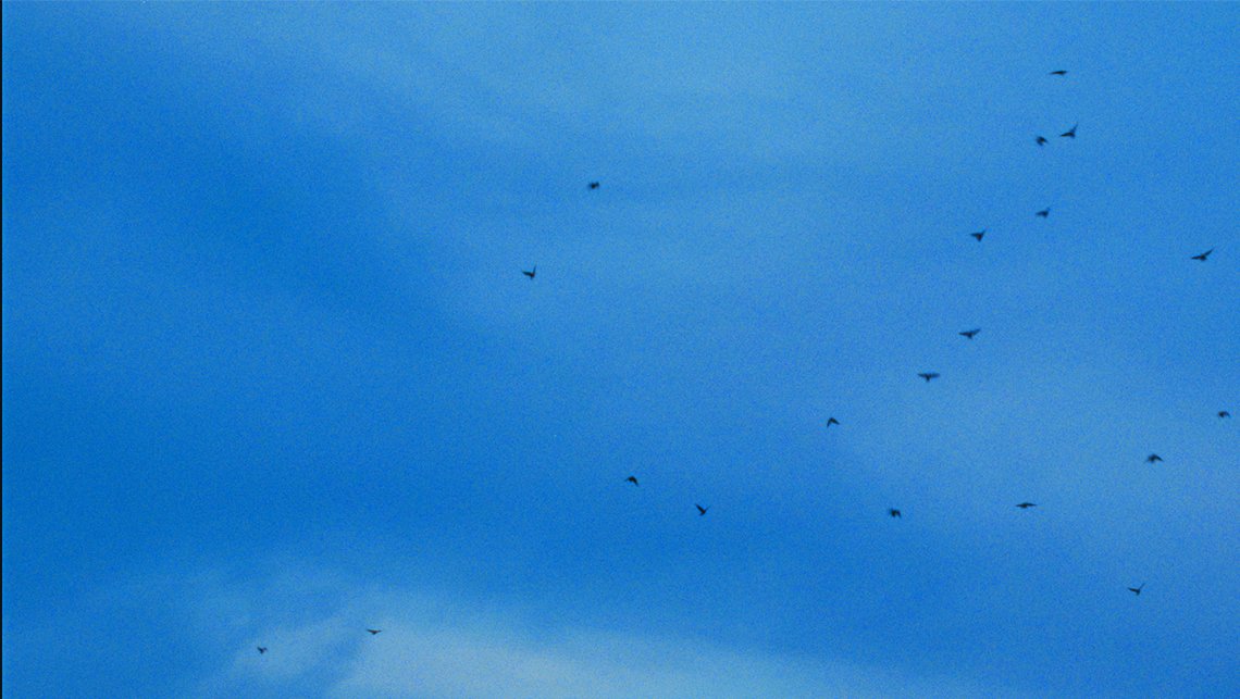Observations_011.jpg