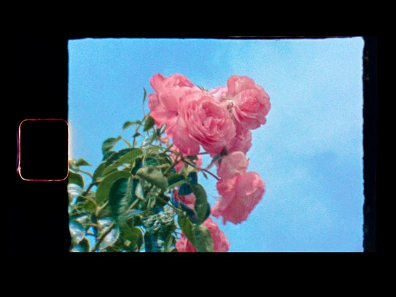 Observations_024.jpg