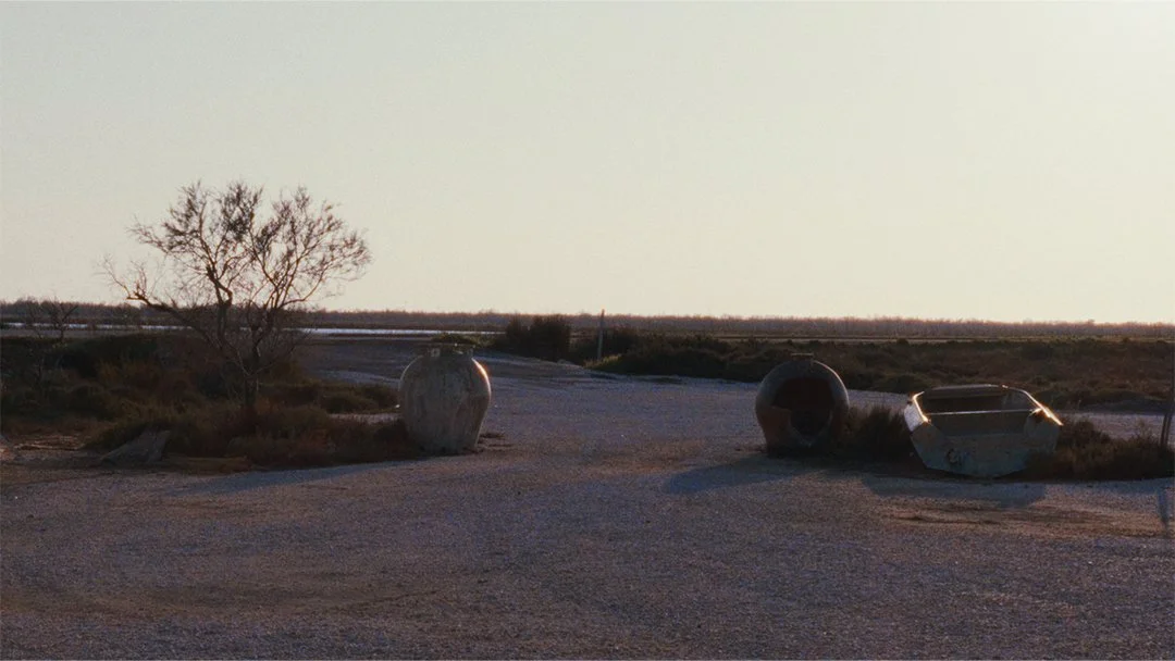 Observations_028.jpg