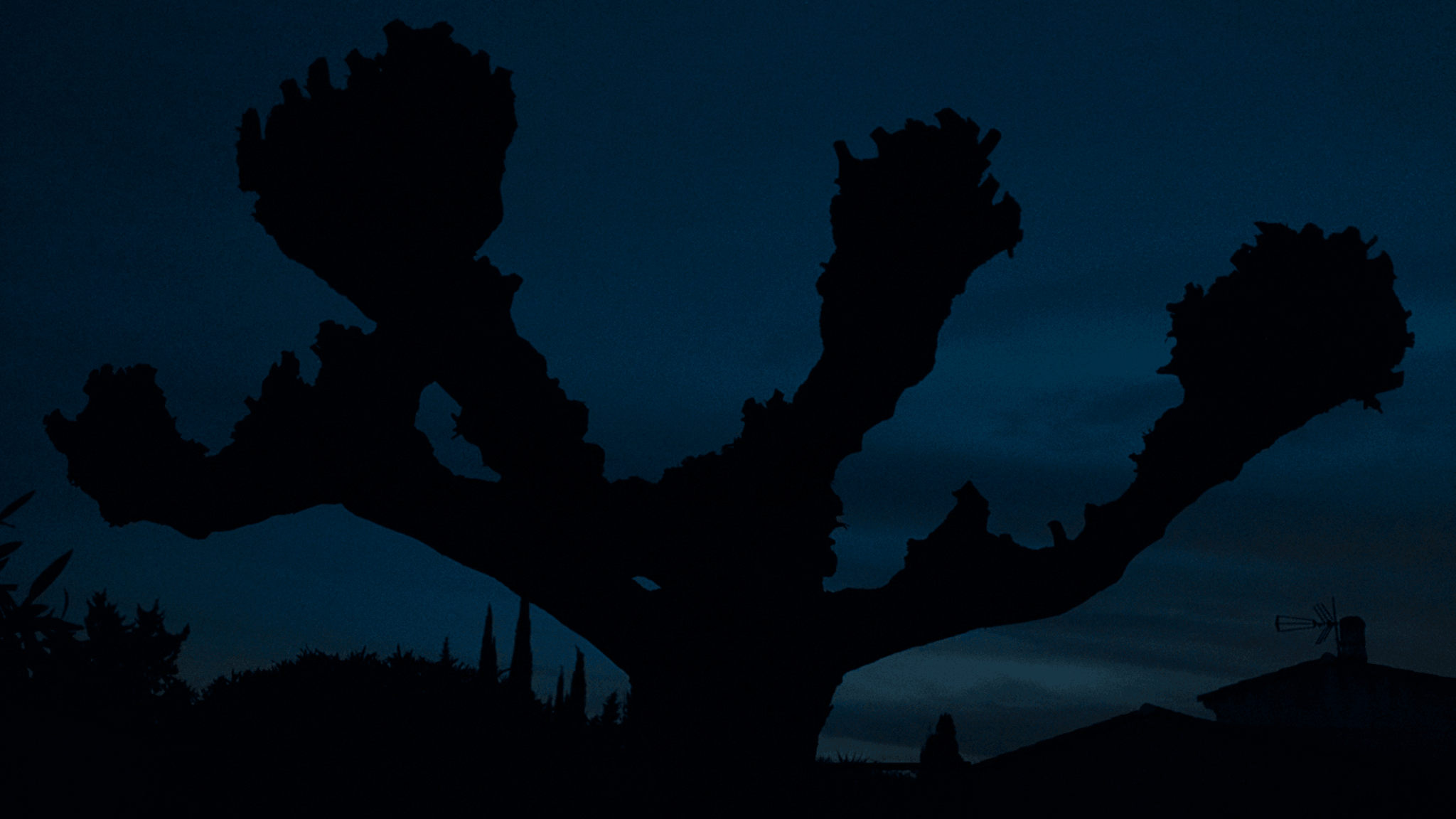 Bleu_011.png