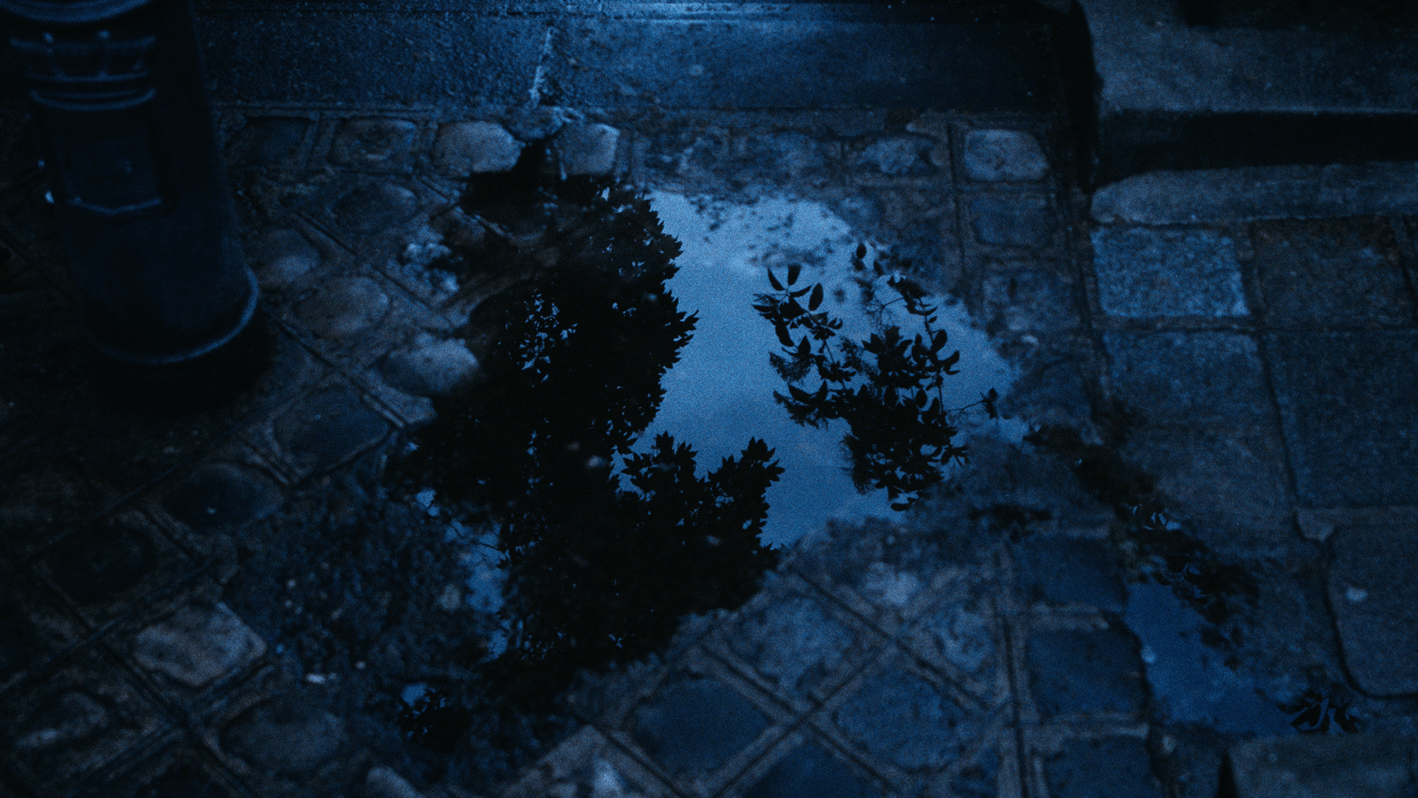 Bleu_04.png