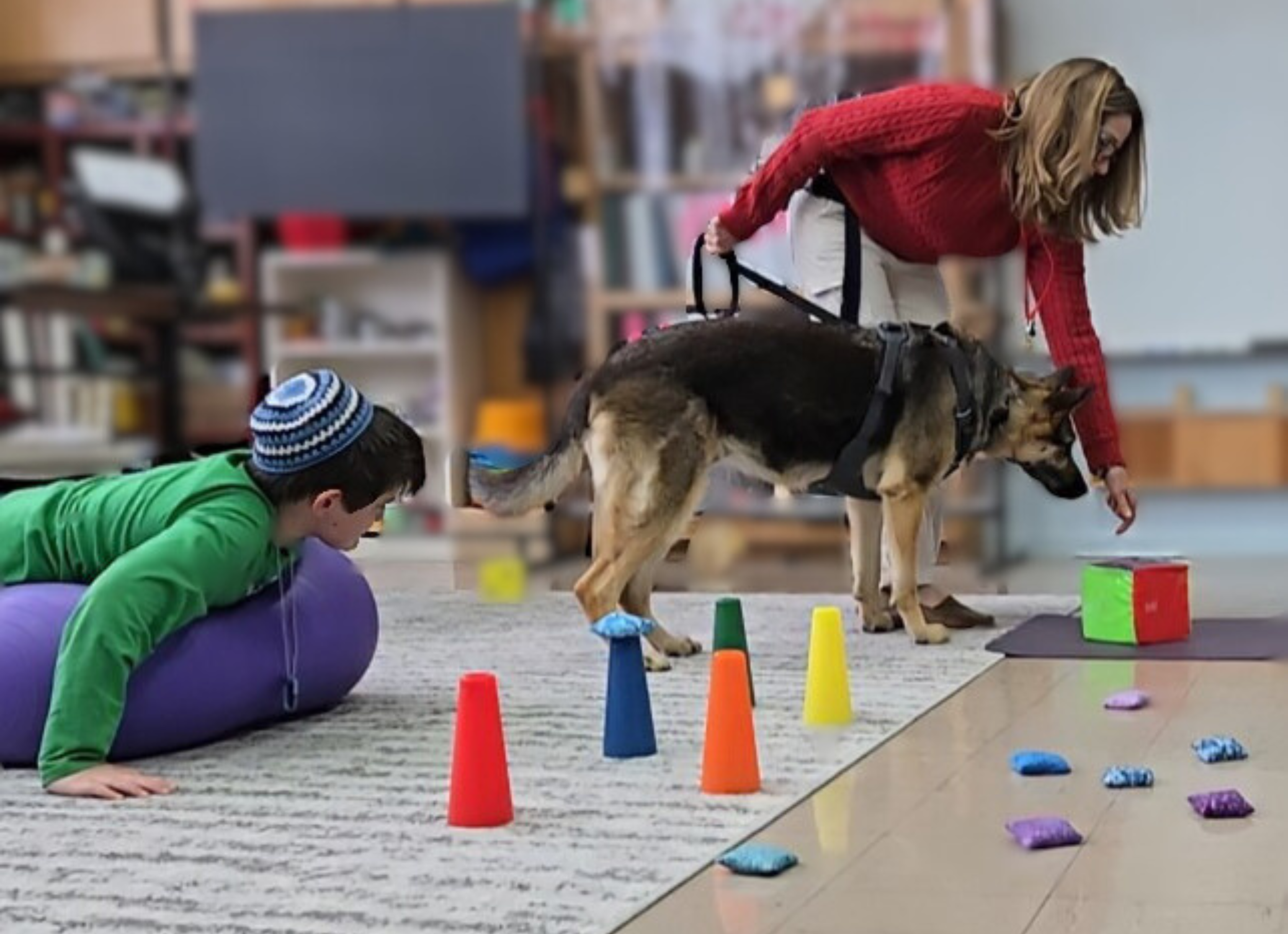 Animal assisted therapy integrated into occupational therapy for students of all ages and abilities.