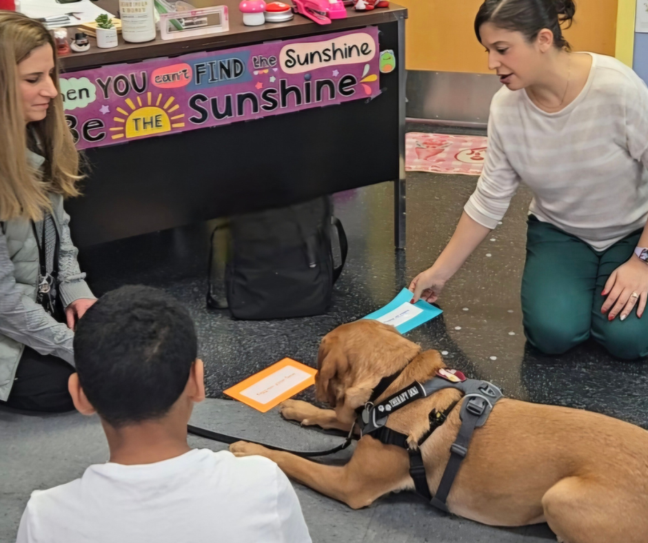 Integrating AAI in the classroom 