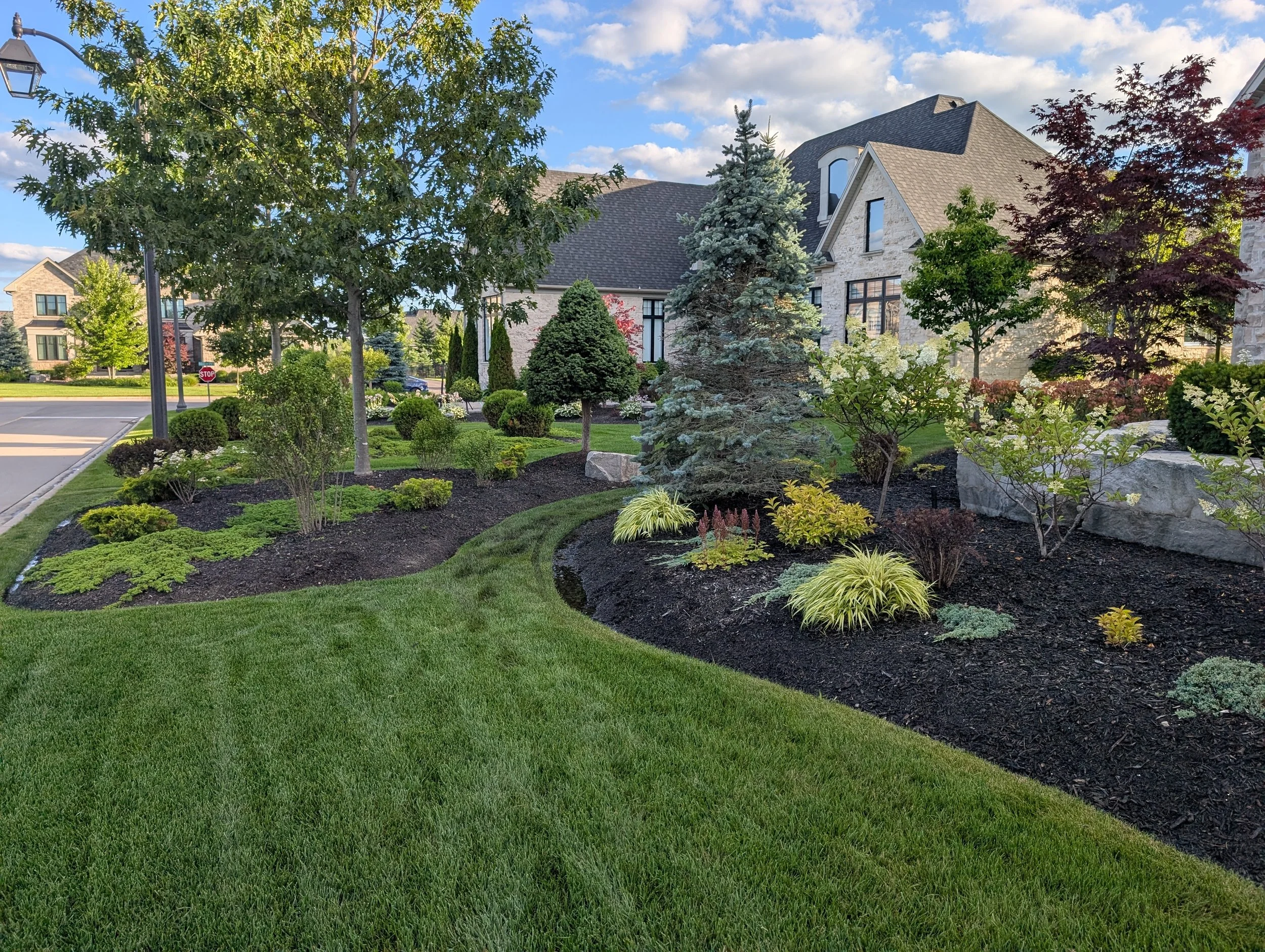 PXL_20250721_232141658 (1).jpg