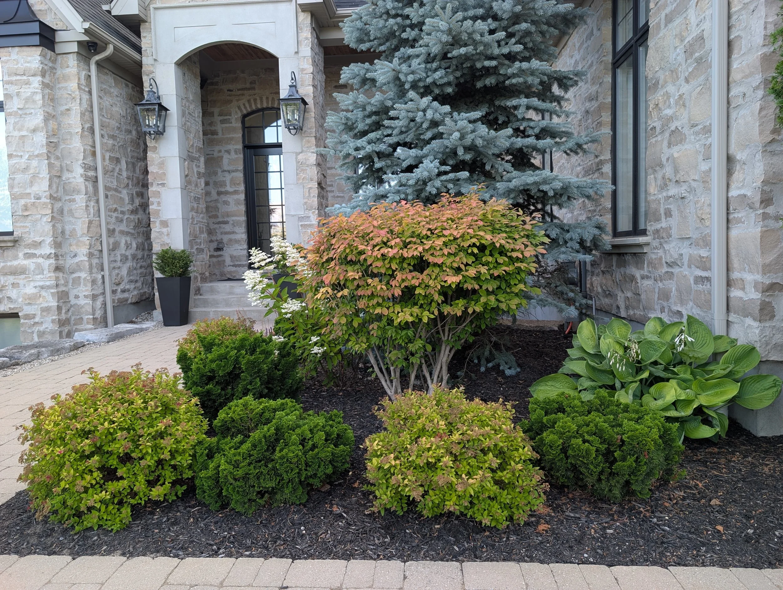 Weeding and Garden Edging Project