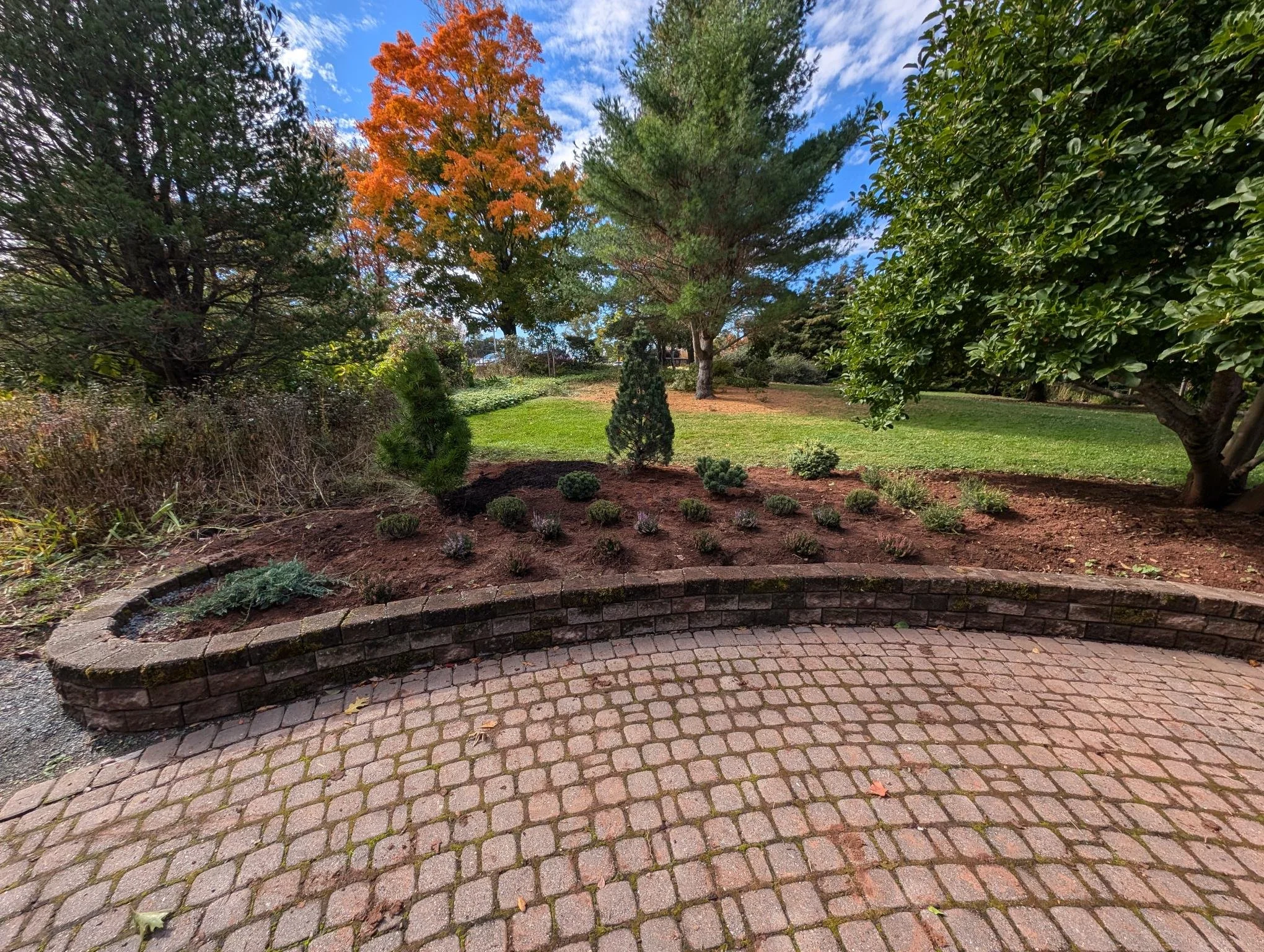 PXL_20241009_154131423 (1).jpg