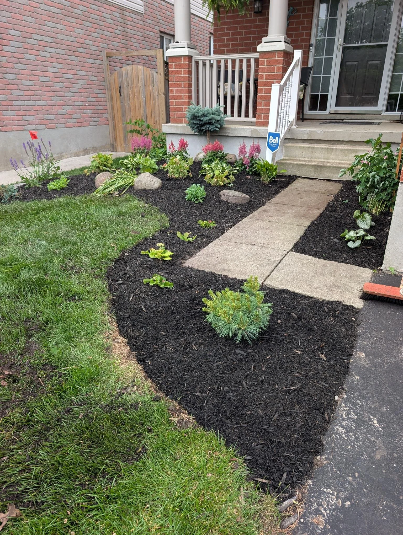 PXL_20250619_190812234 (1).jpg