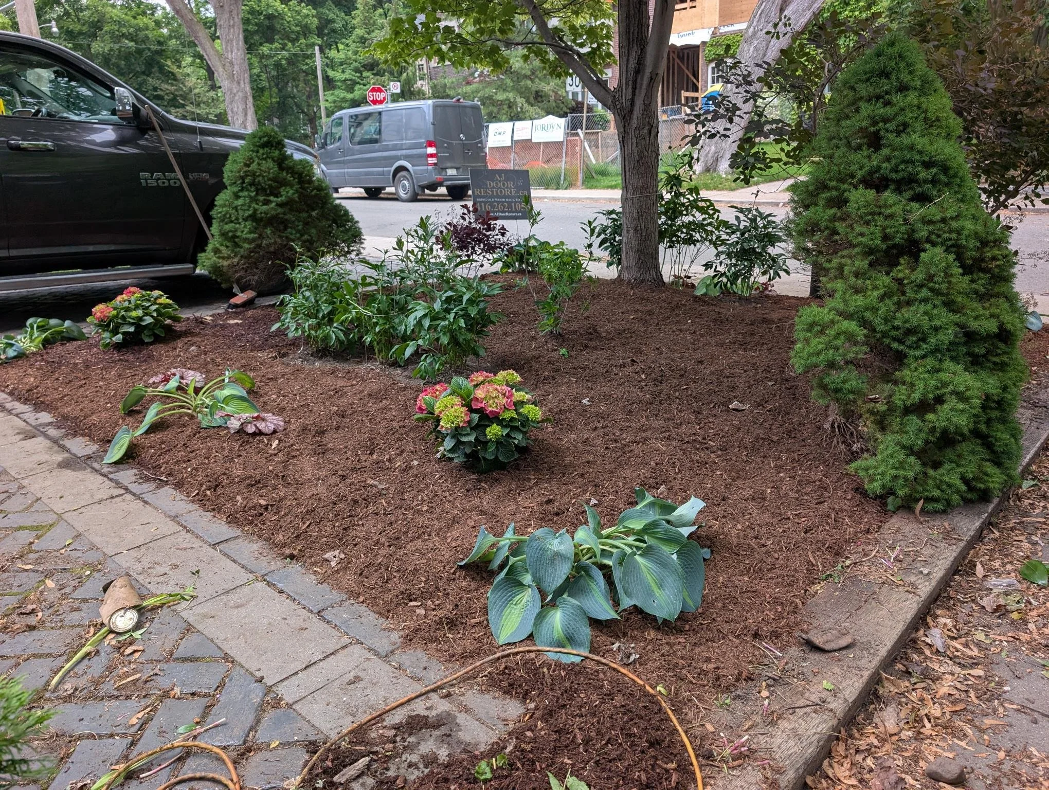 PXL_20250608_231631606 (1).jpg