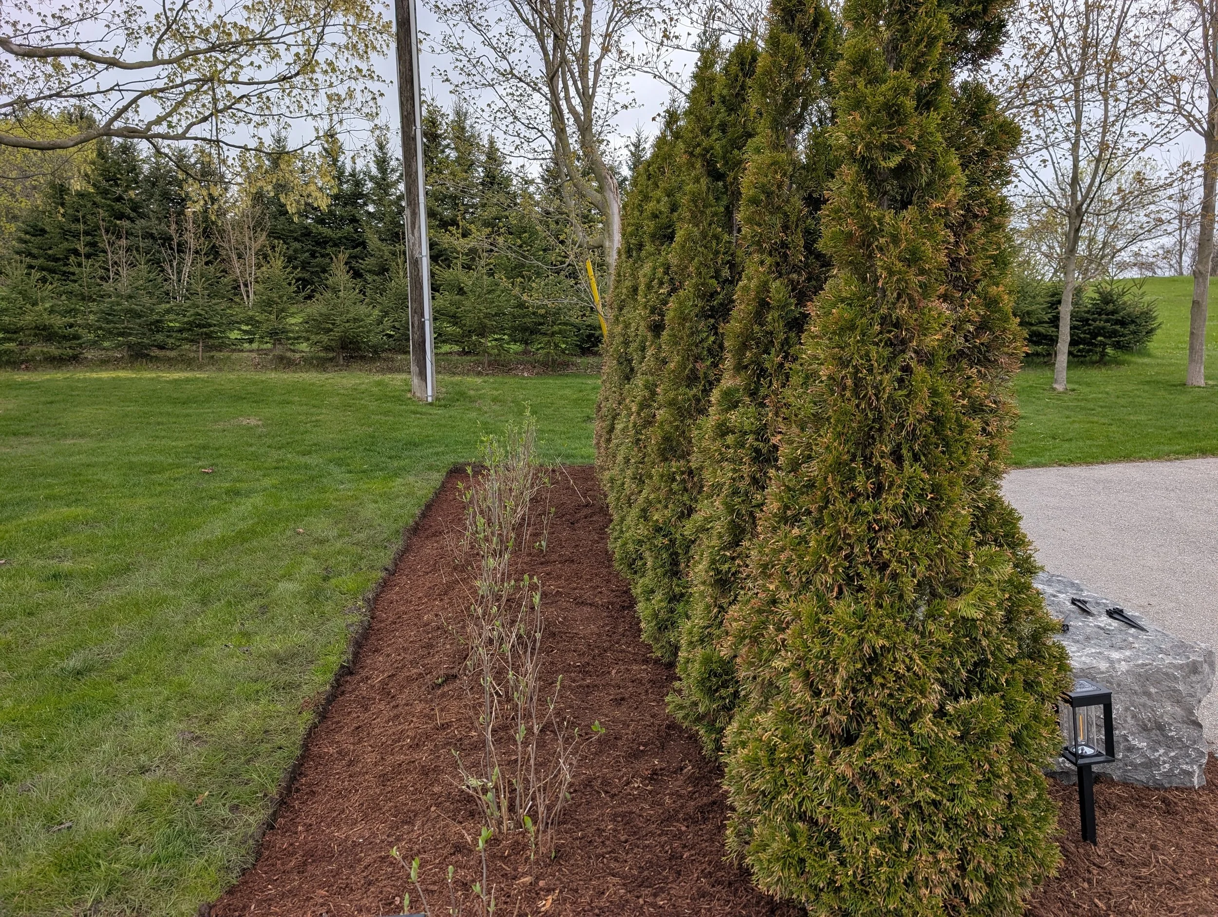 PXL_20260513_203557303.jpg