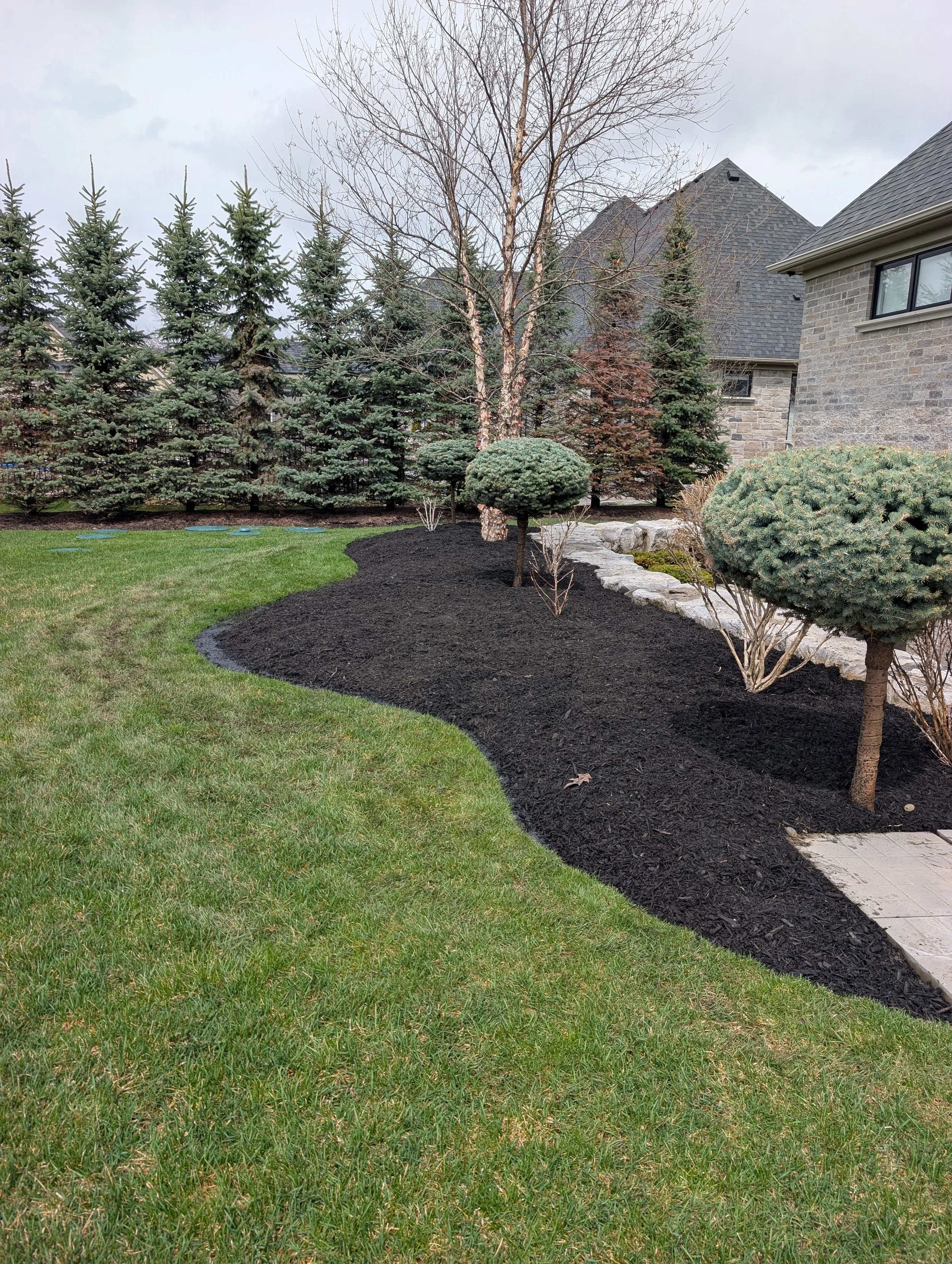 PXL_20260415_172512617.MP (1).jpg