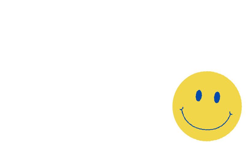 The Little Smiles Foundation