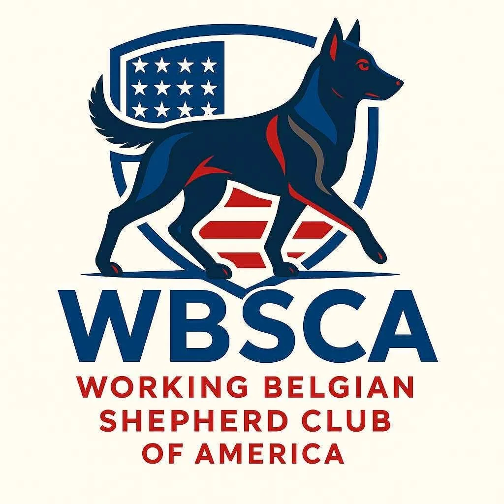Working Belgian Shepherd Club of America