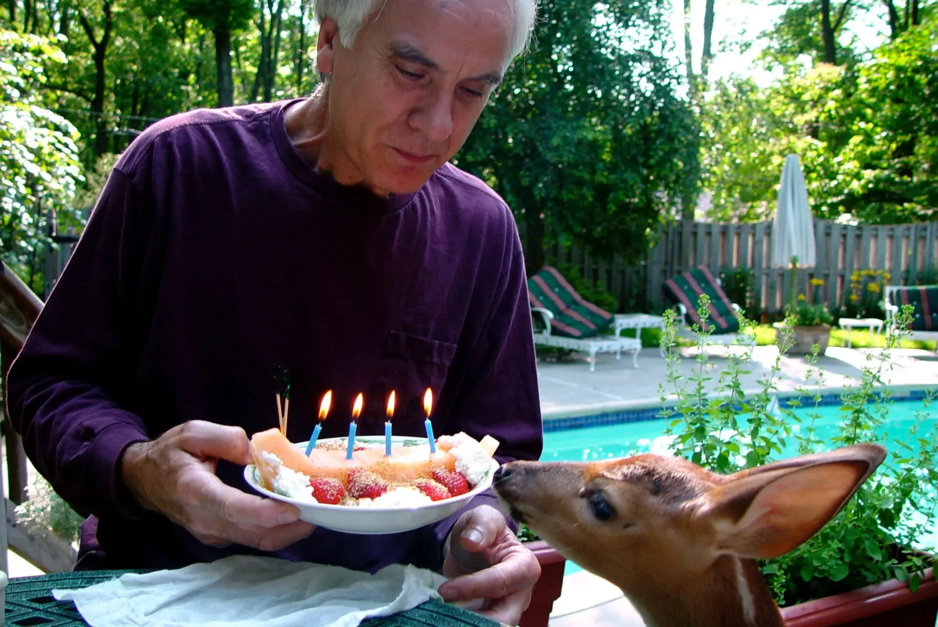 HAPPY-BDAY-PINO-2-scaled.webp