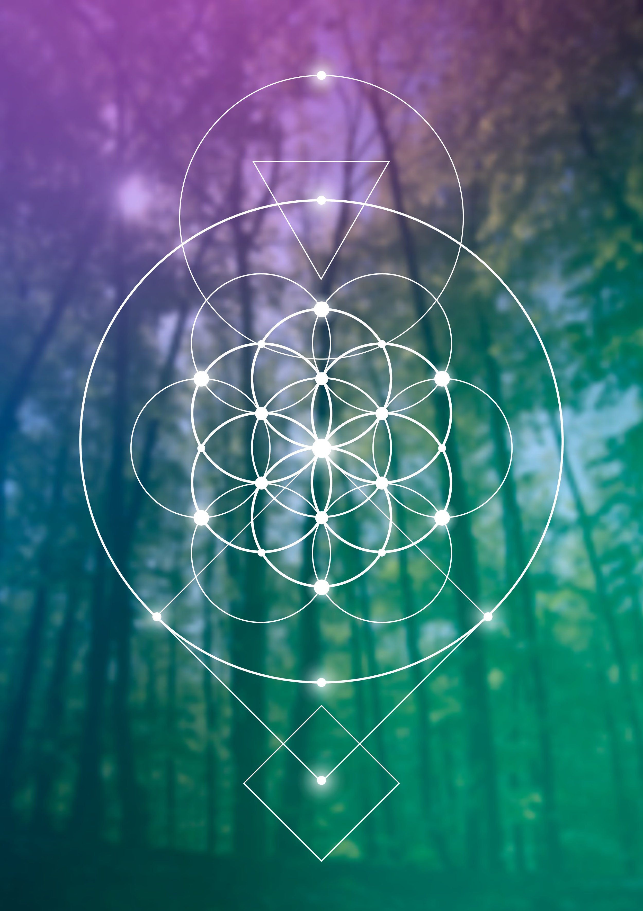 Sunday Ecstatic Dance - Elo Earth Prayer