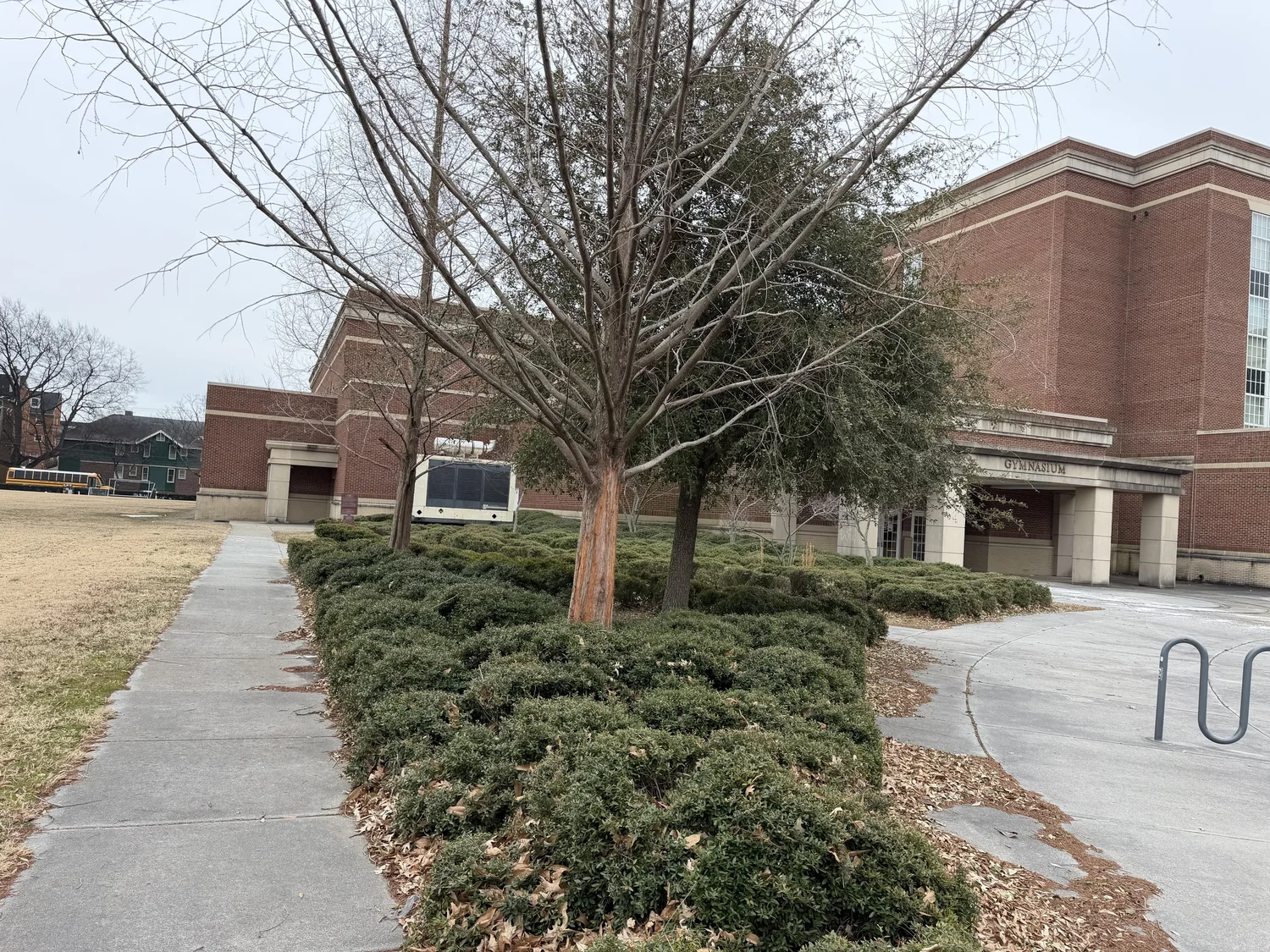 Blair before photo 4