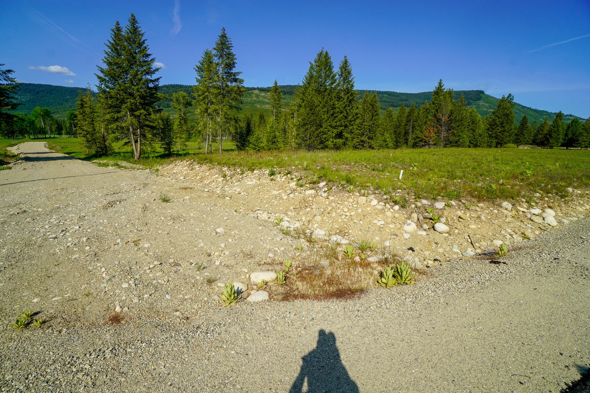 Lot 4 Whitetail Ridge in Beaverdell BC
