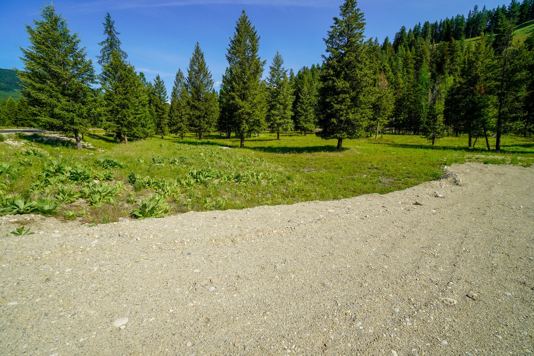 _DSC4418.jpg