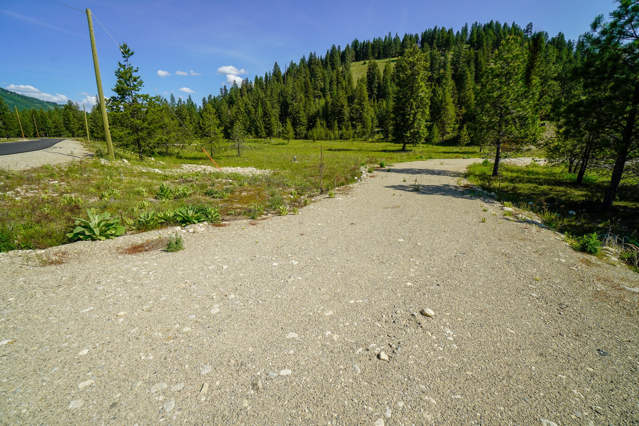 _DSC4429.jpg