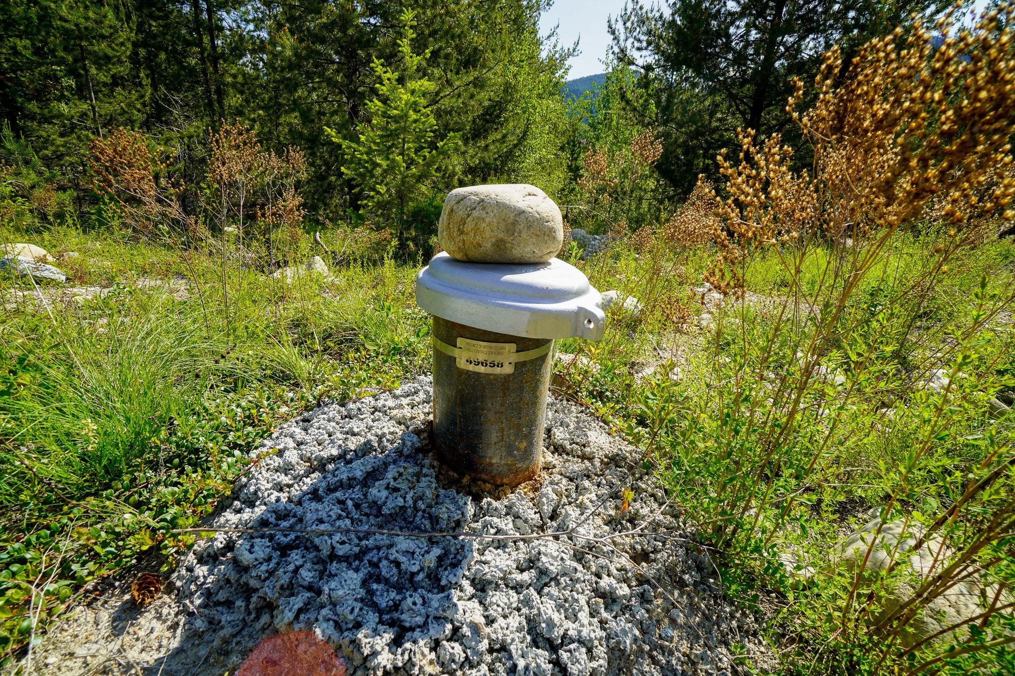 _DSC4434.jpg