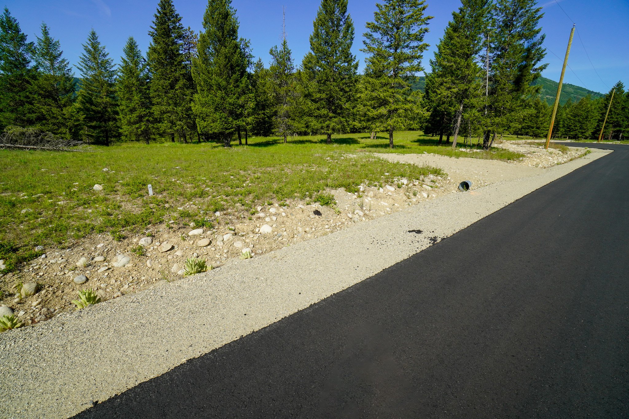 _DSC4394.jpg