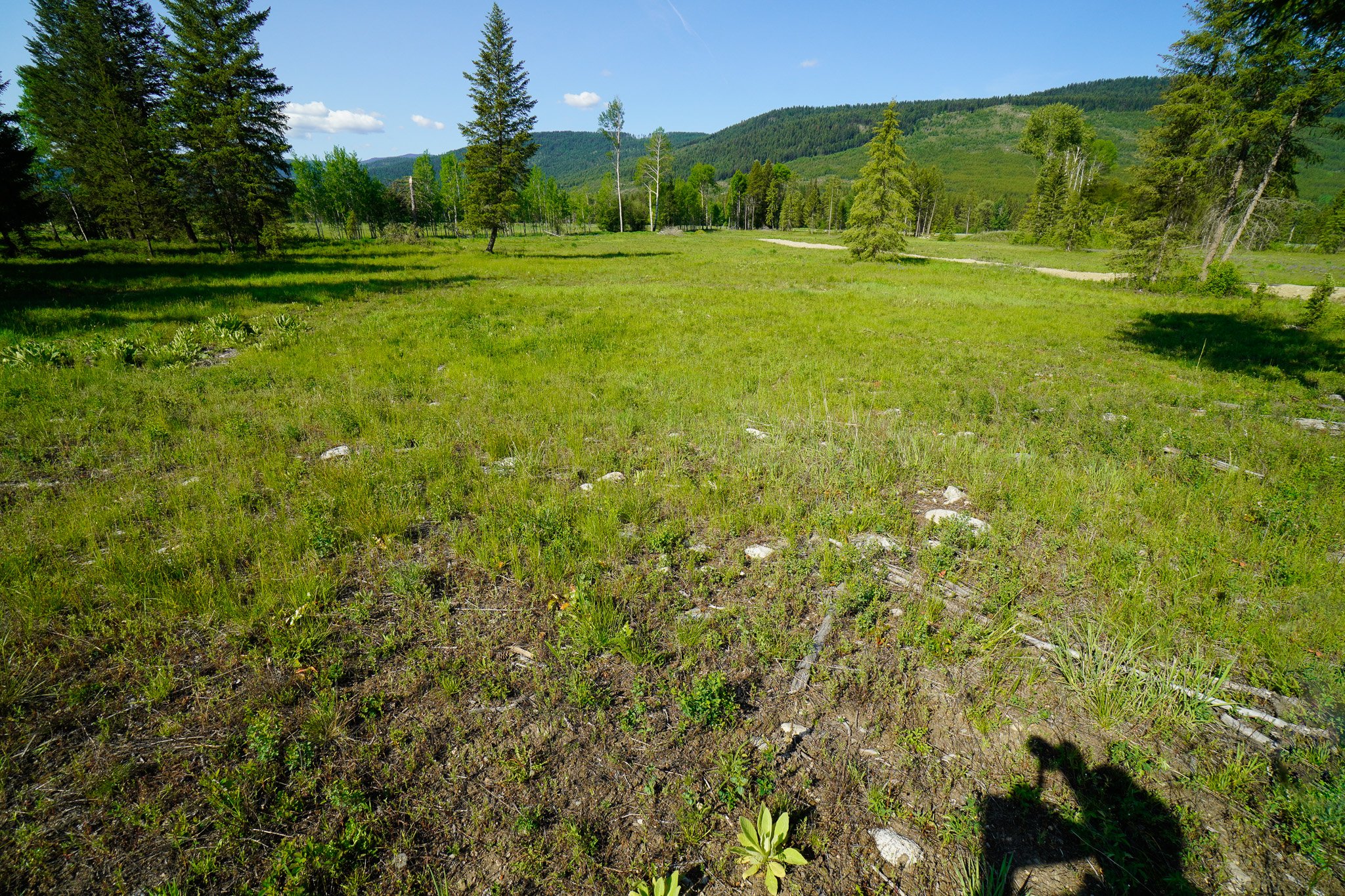 Lot 3 Mary G Road, Beaverdell