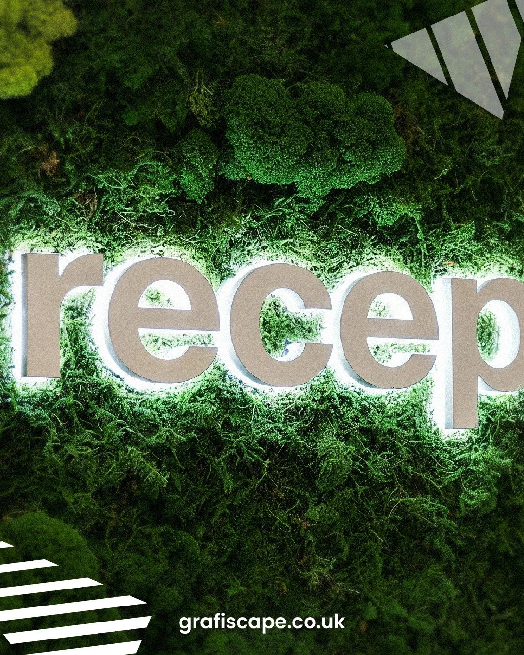 A foliage wall combined with illuminated lettering creates a strong visual focal point. The contrast between organic texture and controlled lighting reinforces brand presence while maintaining a clean, structured interior.

#FoliageWall #IlluminatedS