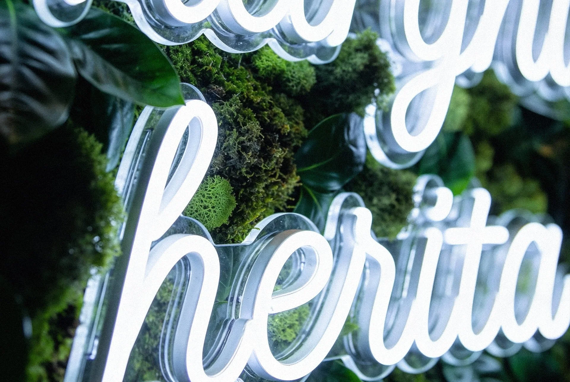 Moss Wall with Neon Signs