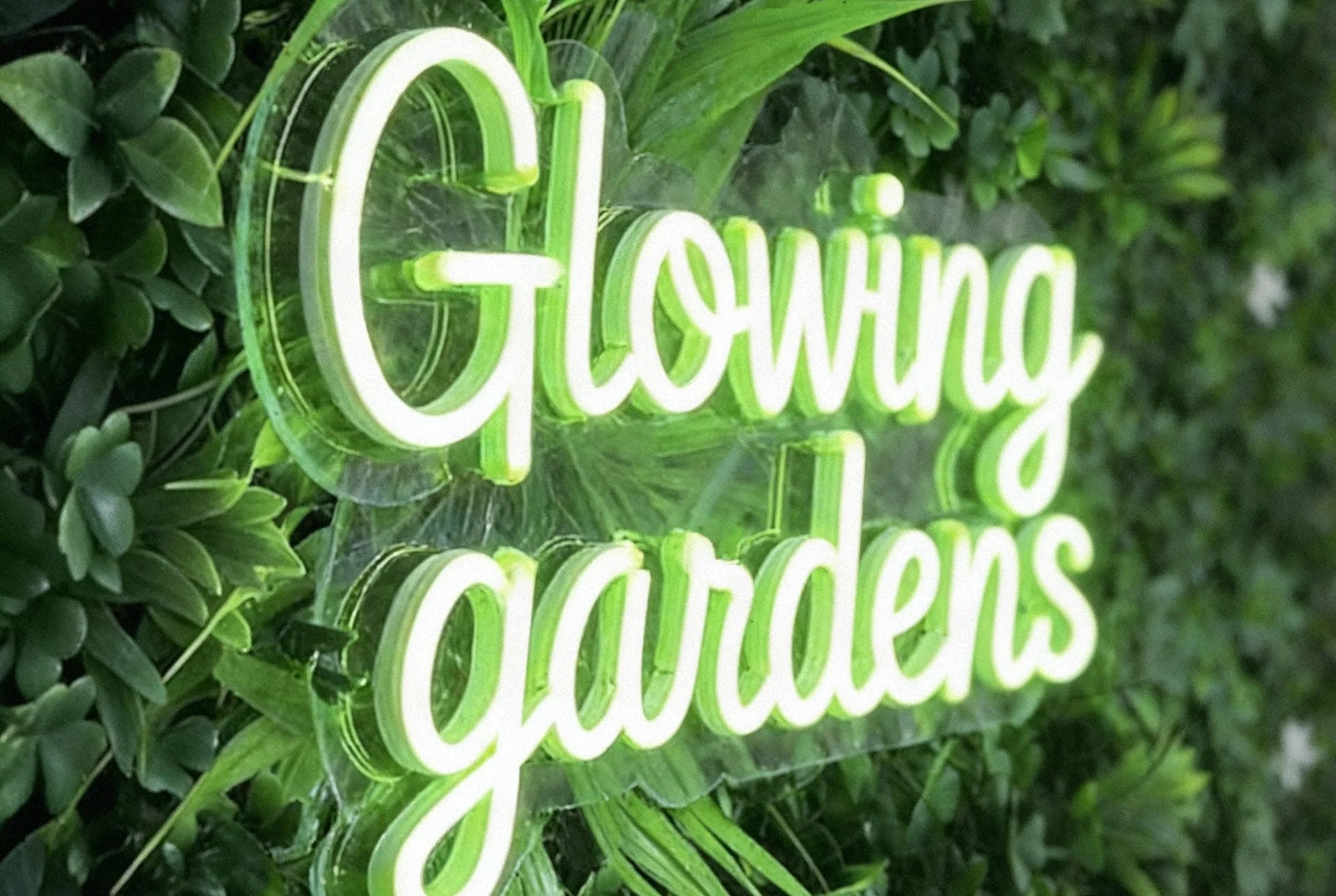 Foliage walls with neon signs