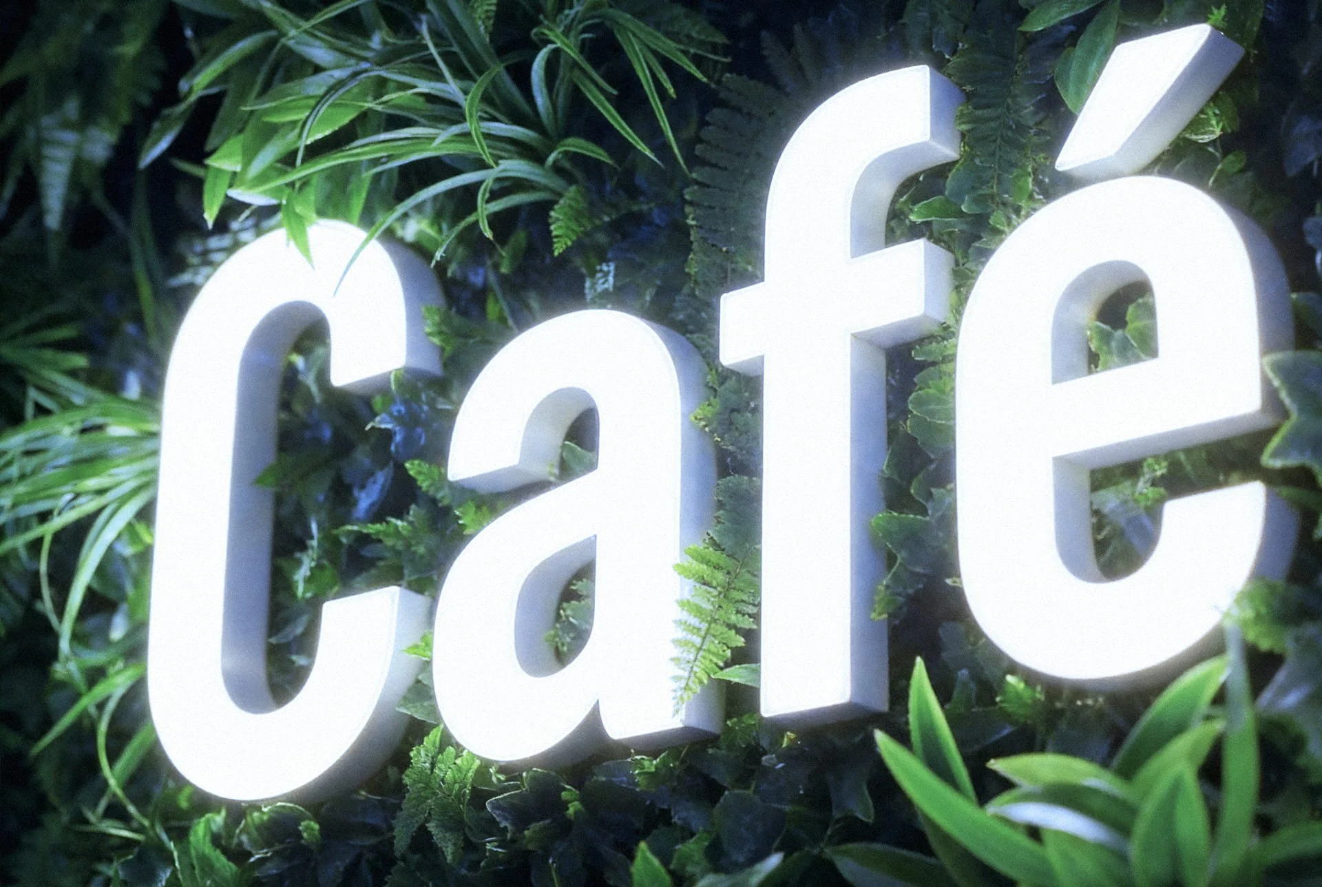 Artificial Plant walls with facelit letters