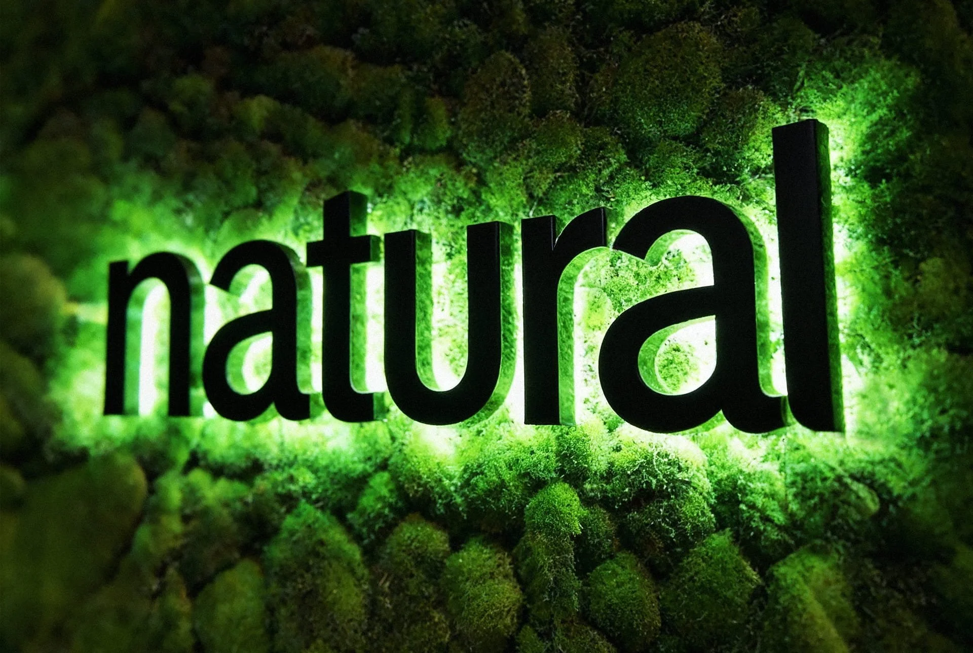 Foliage walls with backlit letters