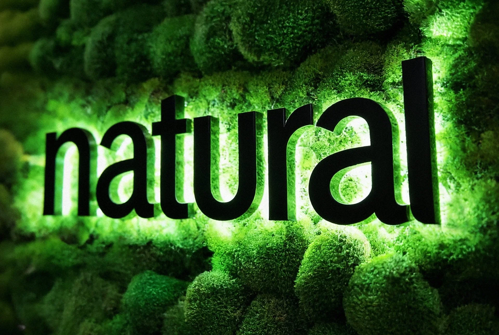 What to Consider When Designing a Foliage Wall with Illuminated Letters