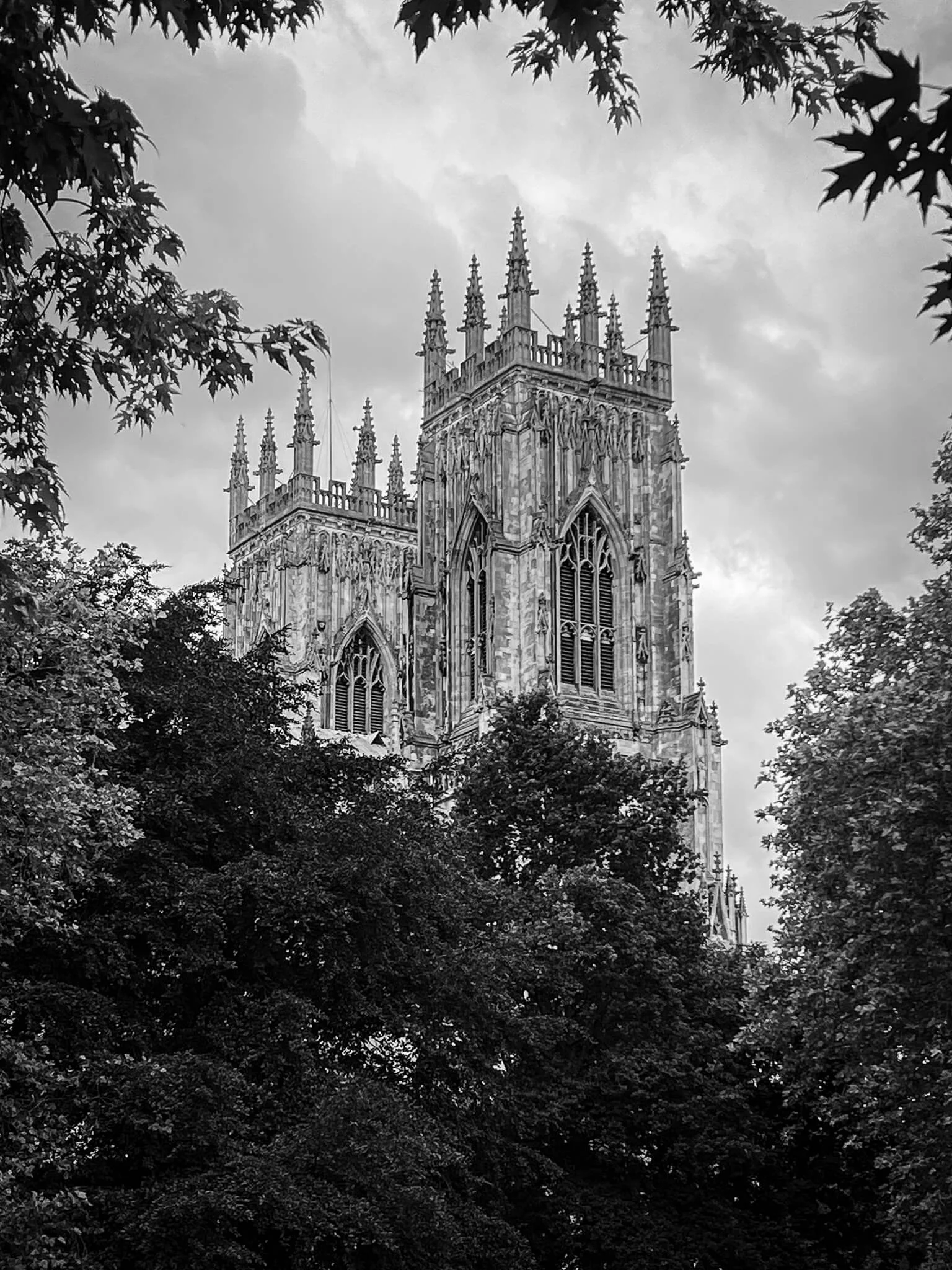 Black and white photo of York Minster towers through the trees