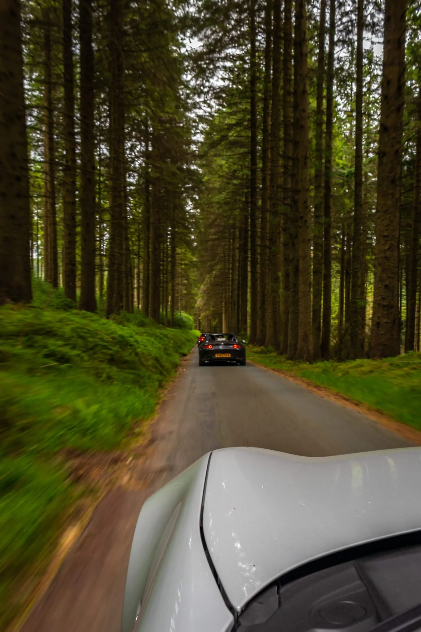 A view from the front of a white car driving through a narrow forested road with tall trees on both sides and two black cars ahead.