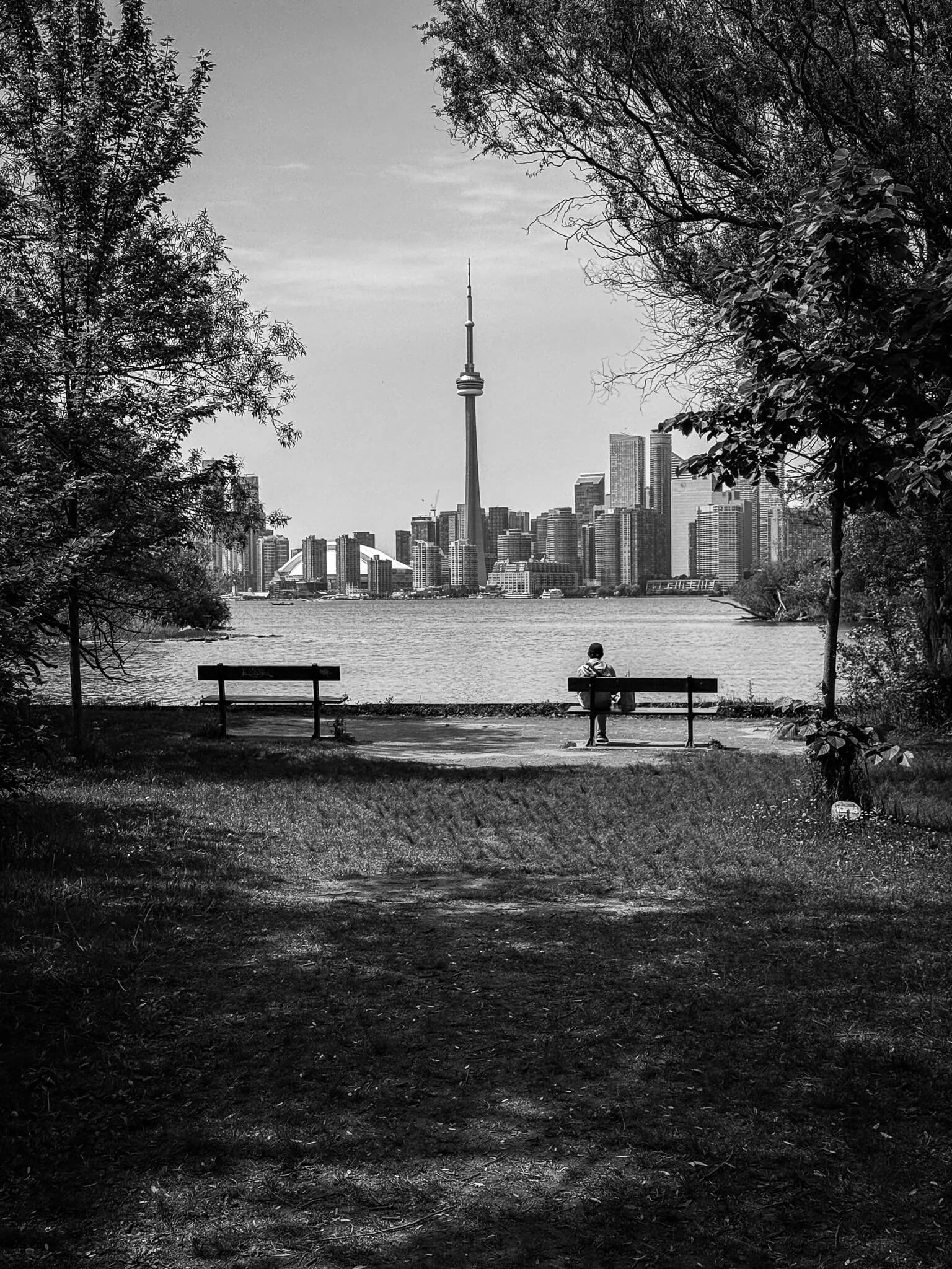 Toronto skyline with CN Tower taken from Toronto Islands