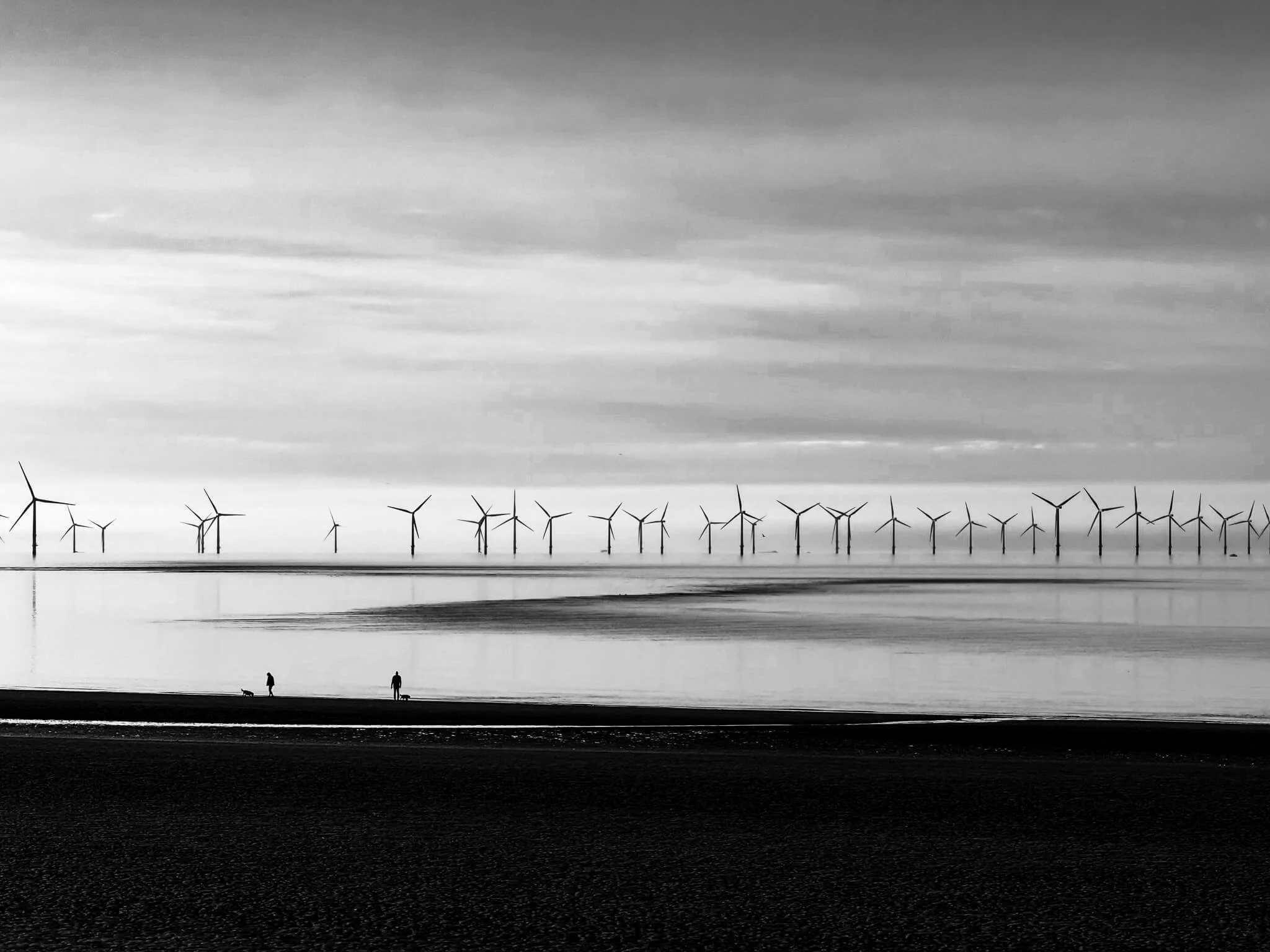 A black-and-white photograph of a coastal scene with multiple wind turbines in the distance. There are three figures with dogs walking along the shoreline, and calm water reflecting the sky.