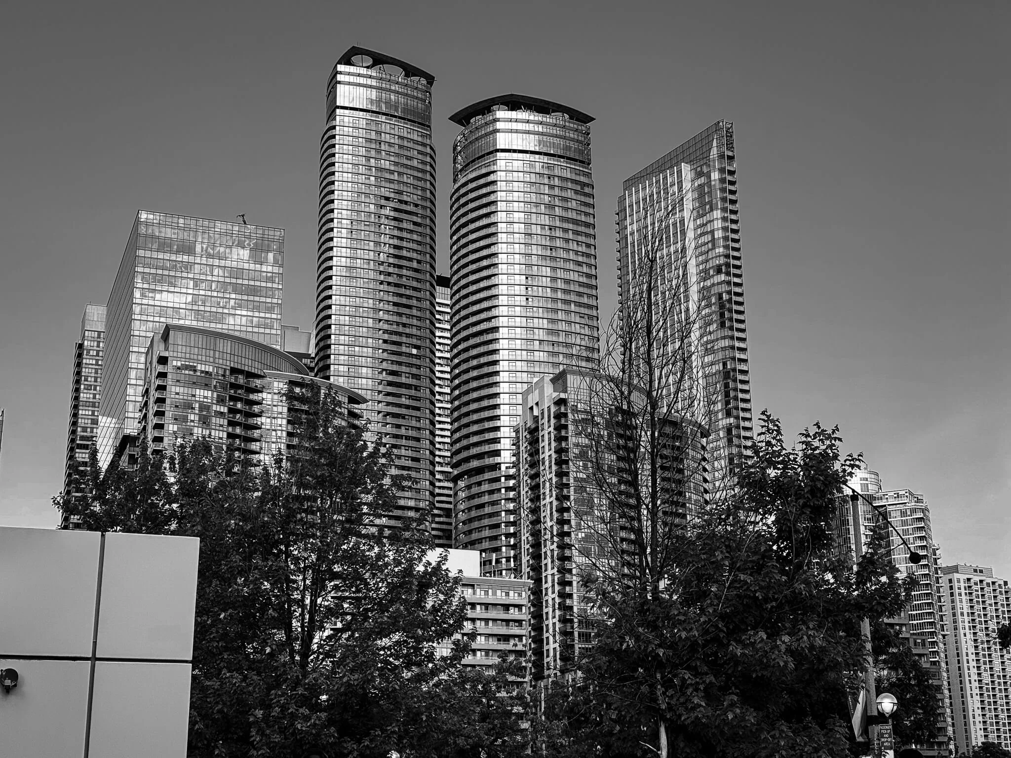 A black and white photo of Toronto modern high-rise buildings with curved and rectangular glass facades, trees in the foreground, and a clear sky above.