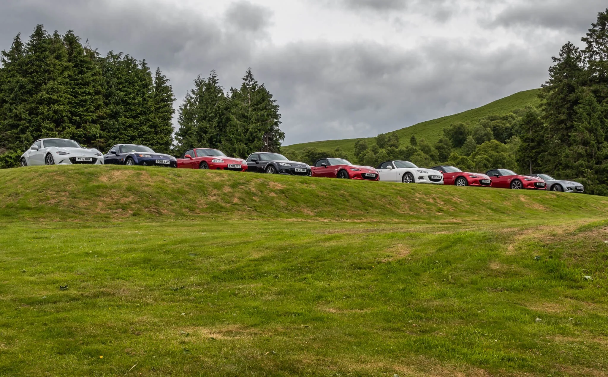 A lineup of various modern cars parked on a grassy hill with trees and green hills in the background under a cloudy sky.