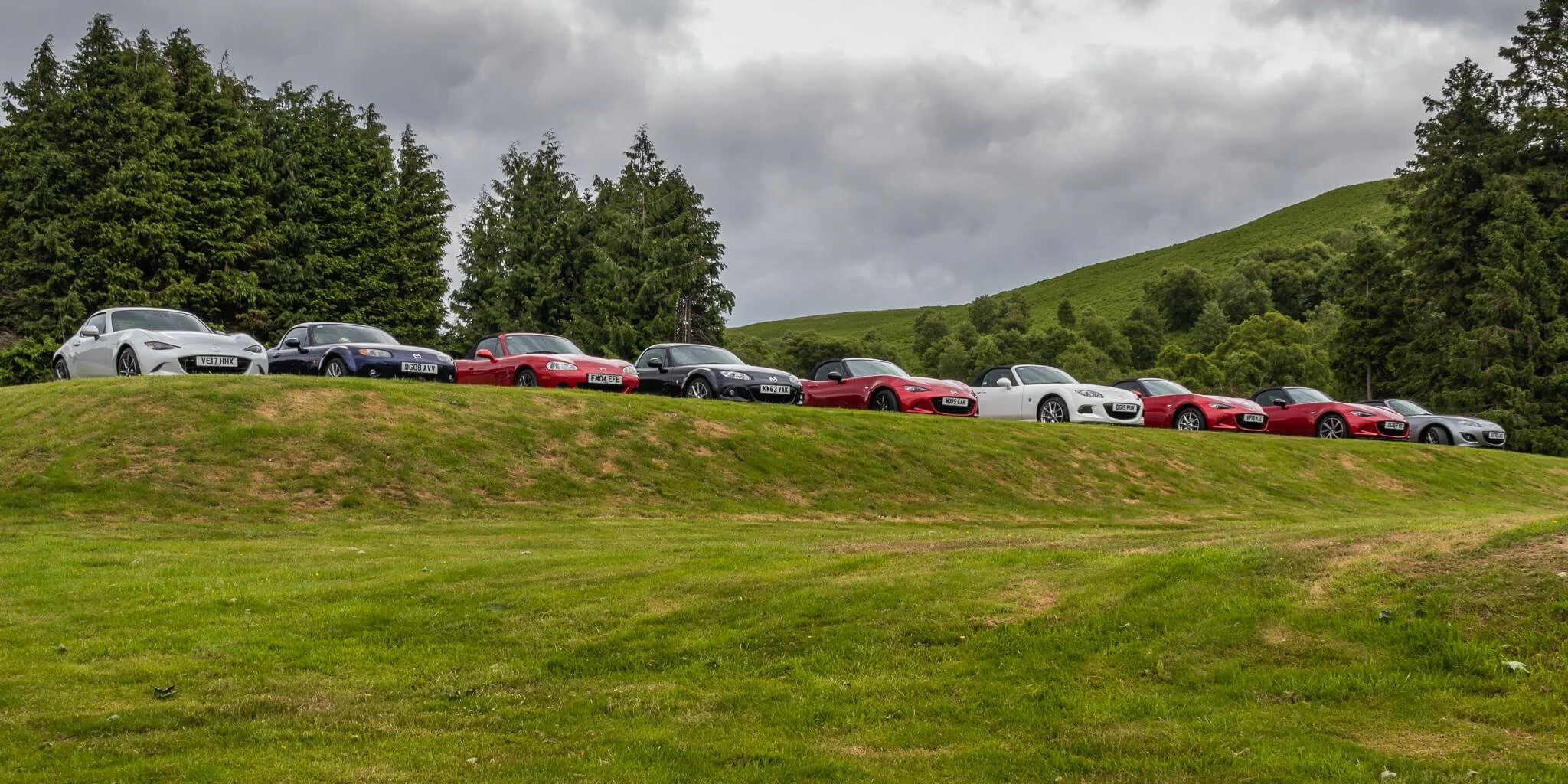 A lineup of ten cars on a grassy hill, with a forest and cloudy sky in the background.
