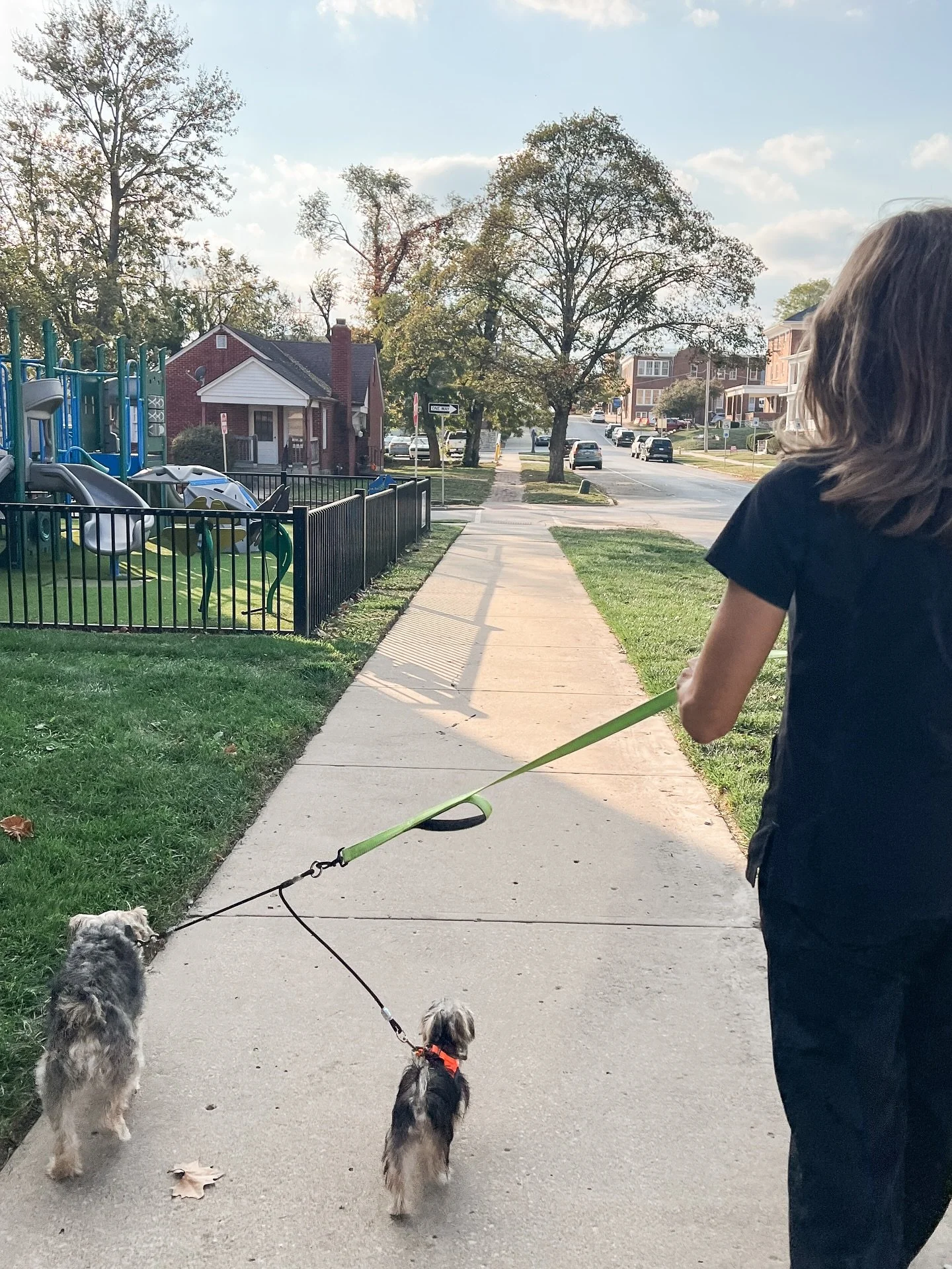 Newest addition to the fam!?😍