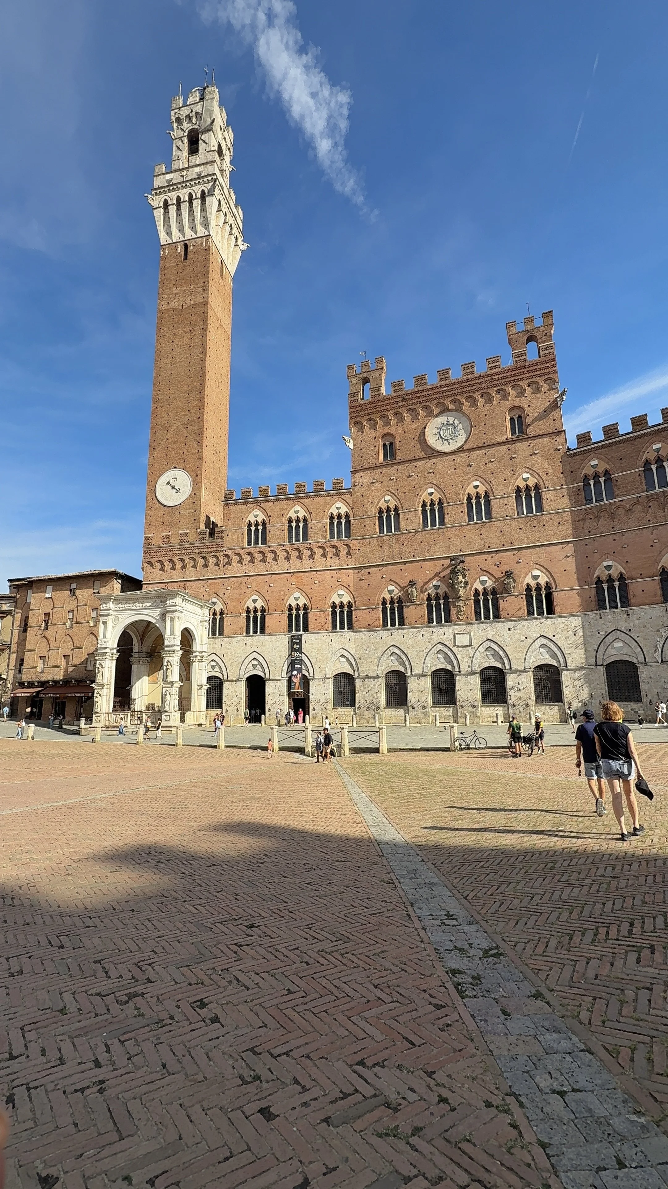 IMG_3370.jpeg