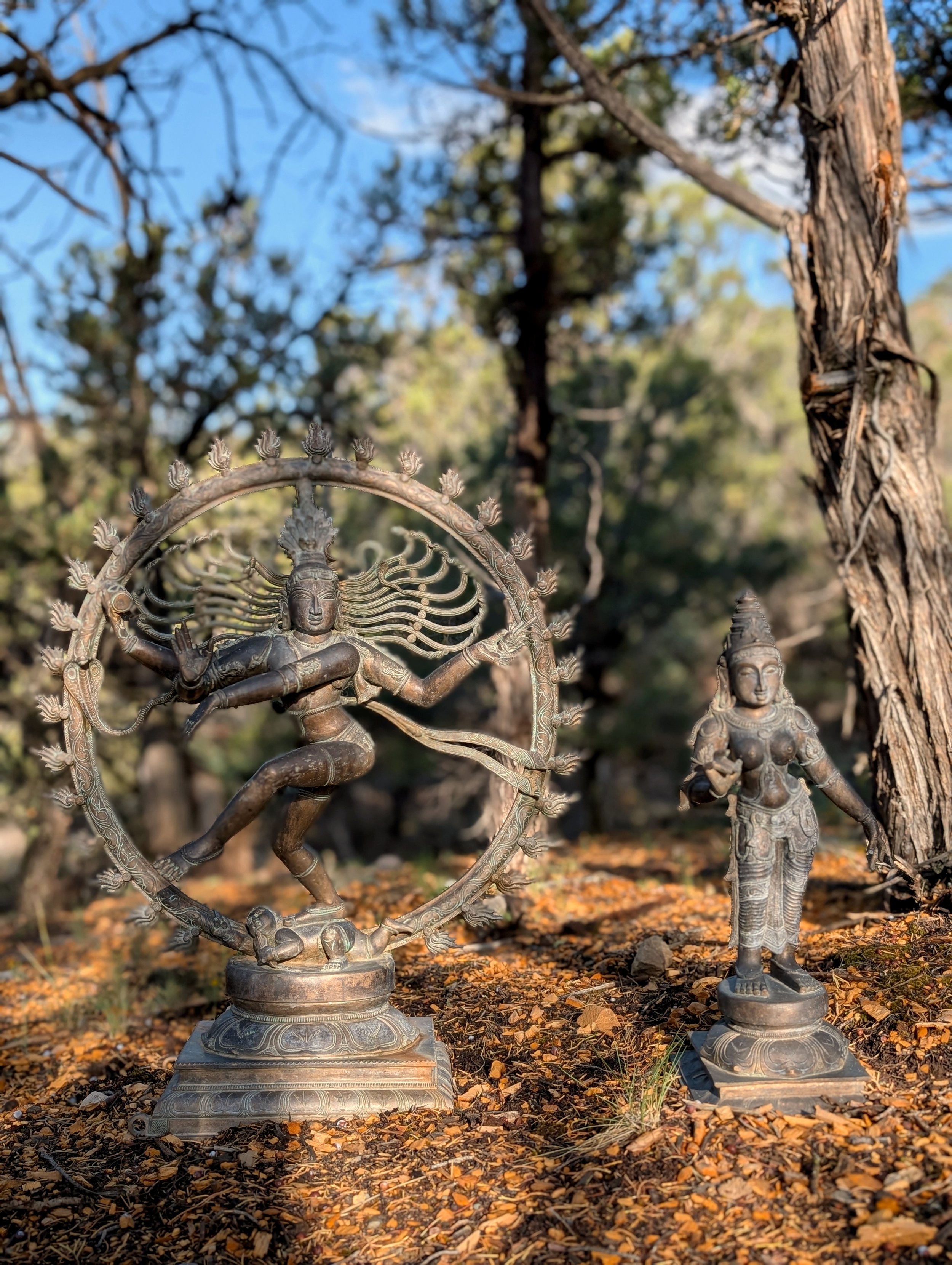 Harmony_Yurt_13.jpg
