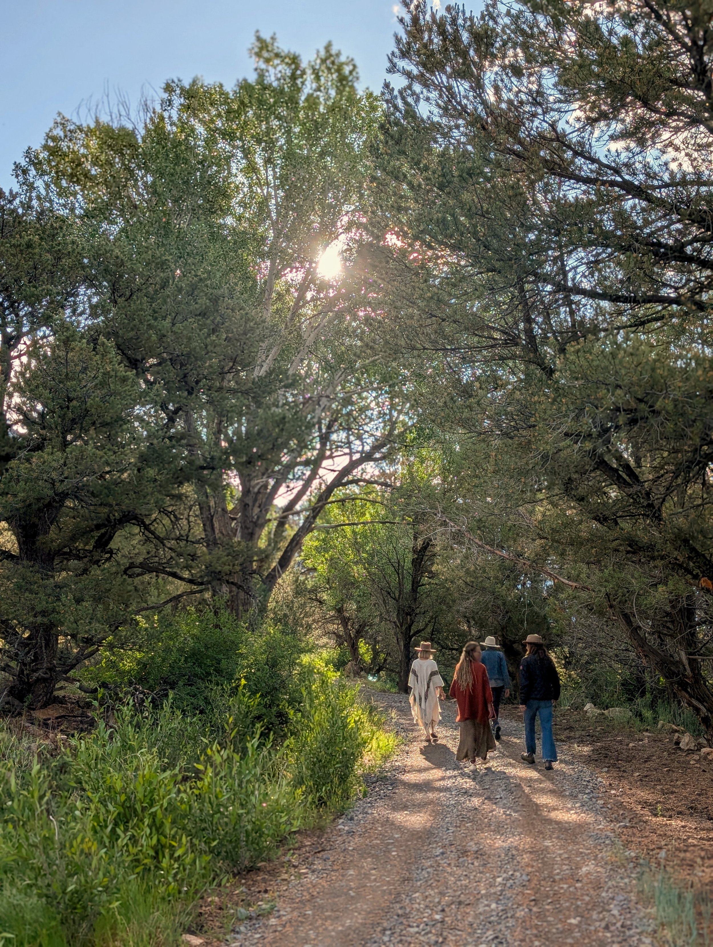 Harmony_Path_13.jpg