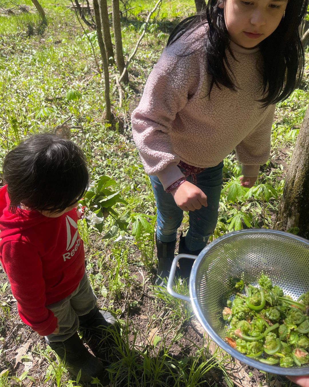 Untitled design (1).png