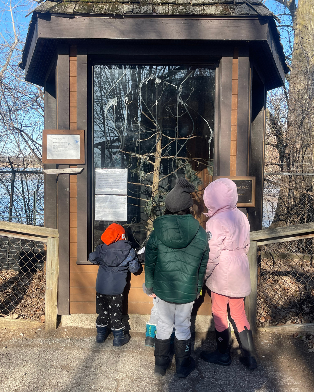 Untitled design (3).png