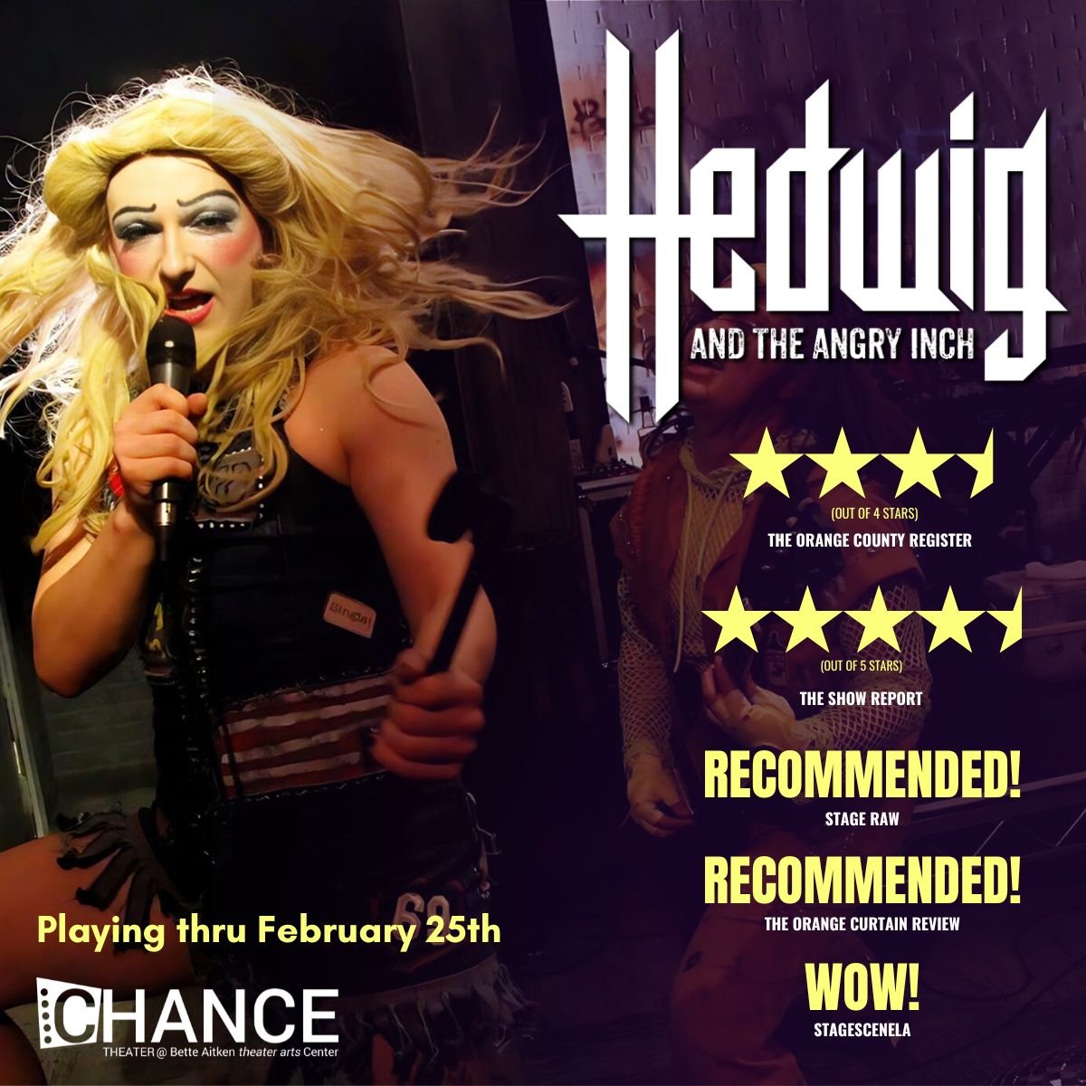 hedwig_Google Display Ad - Responsive-Square (11).jpeg