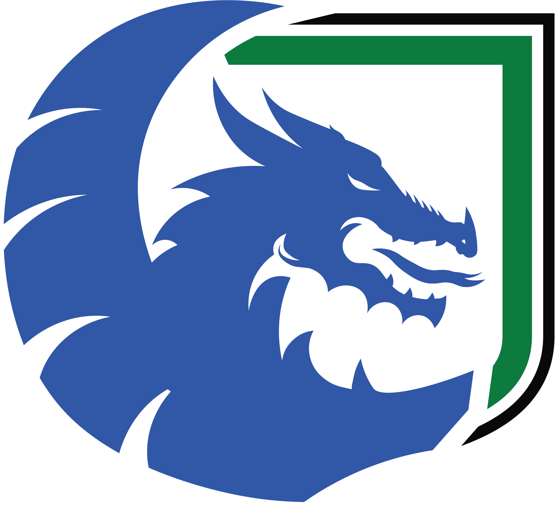A logo featuring a blue dragon's head with sharp features, surrounded by a circle, with part of a green shield outline behind it.