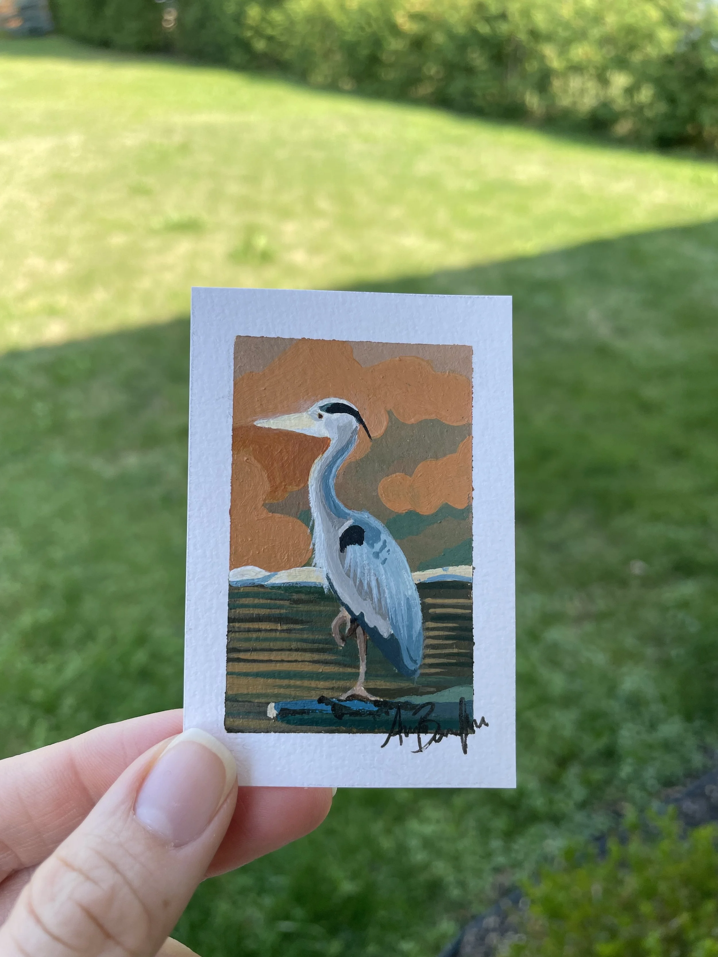 Heron