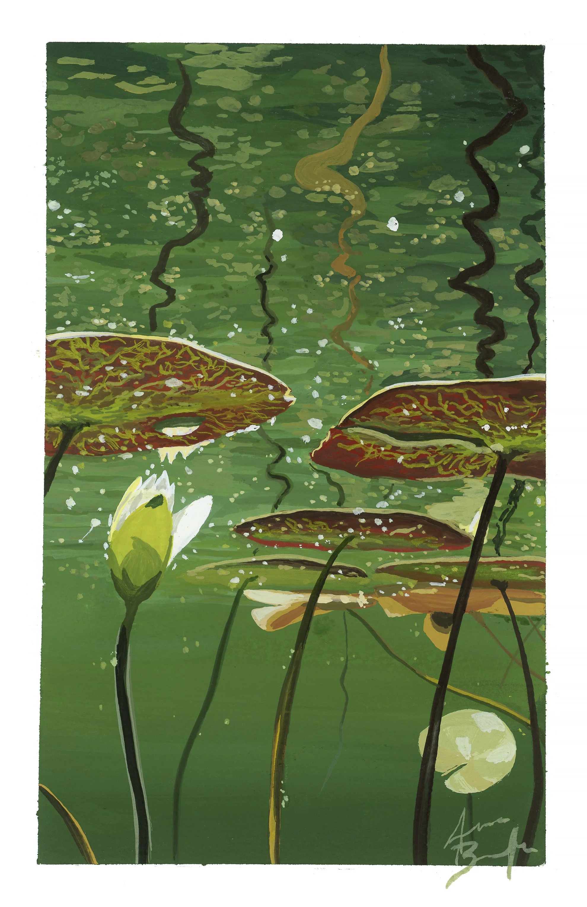 Pond Secrets